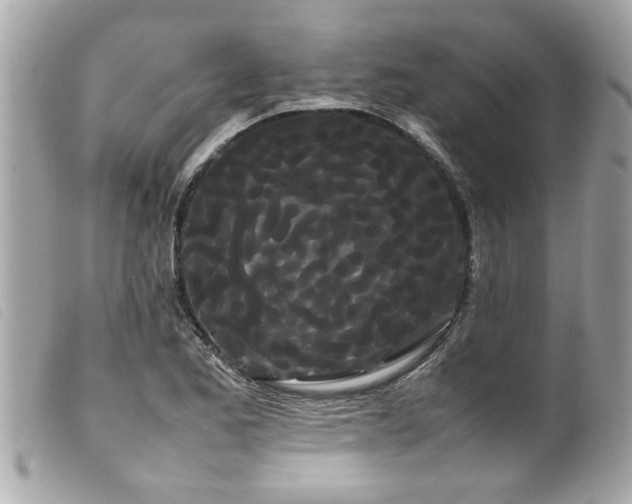 X0000100221173200805301341