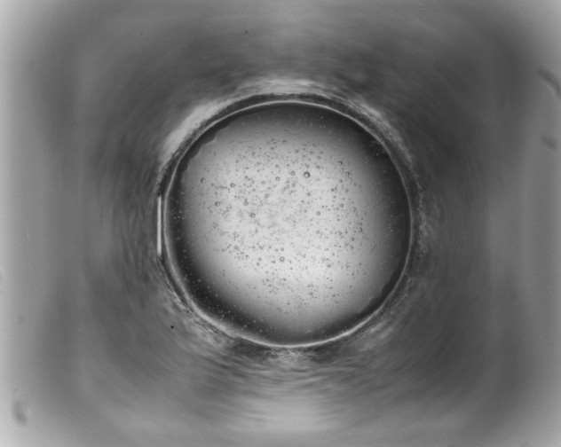 X0000100221175200805301341