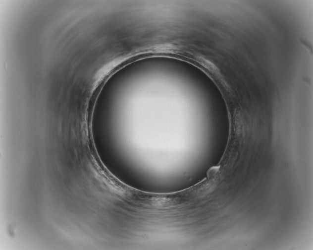 X0000100221176200805301341
