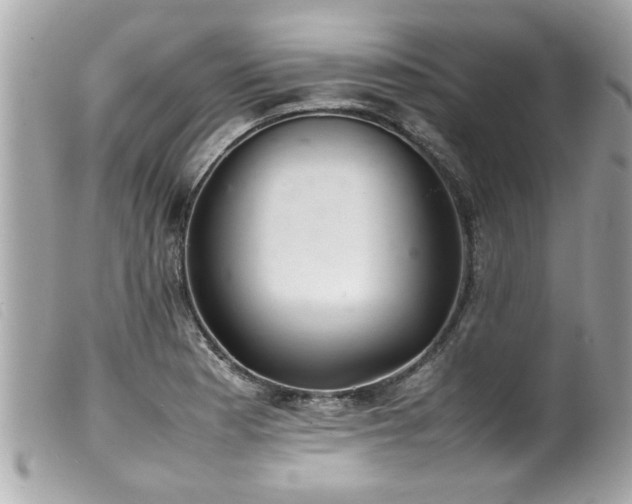 X0000100221177200805301340