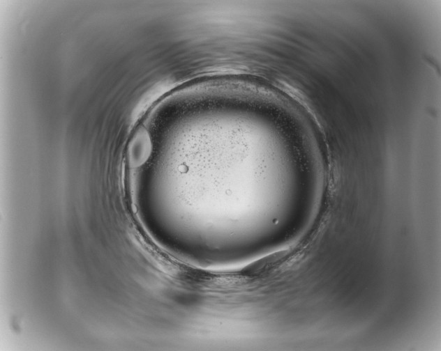 X0000100221179200805301340