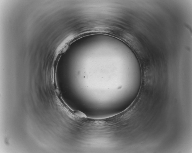 X0000100221180200805301340