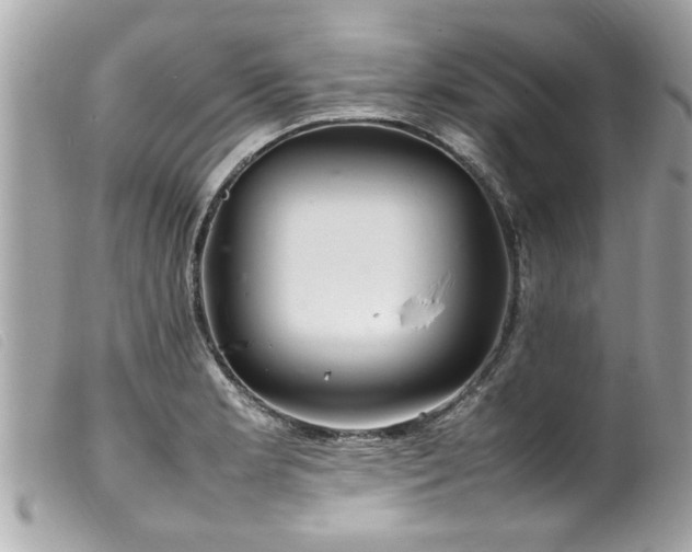 X0000100221181200805301340