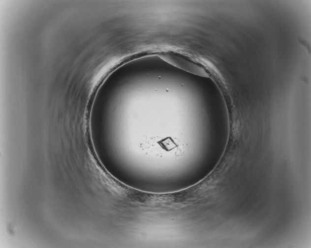 X0000100221183200805301340
