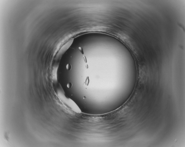 X0000100221184200805301340