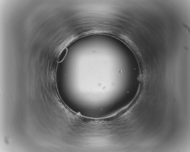 X0000100221185200805301340
