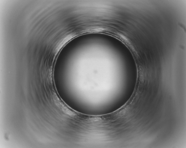 X0000100221186200805301340