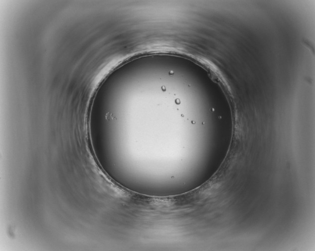 X0000100221191200805301340