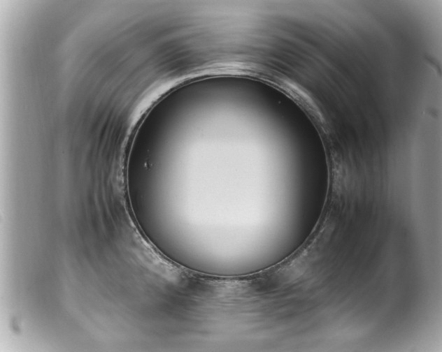 X0000100221192200805301340