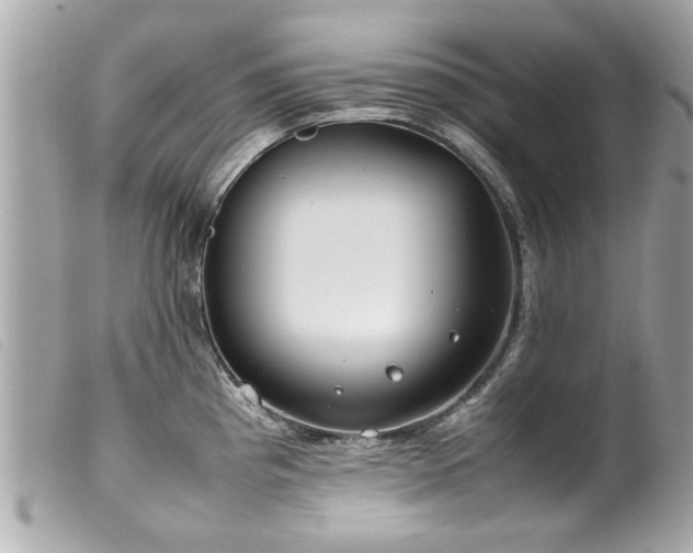 X0000100221193200805301340