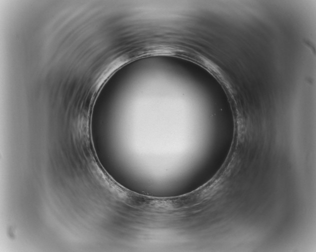 X0000100221194200805301340