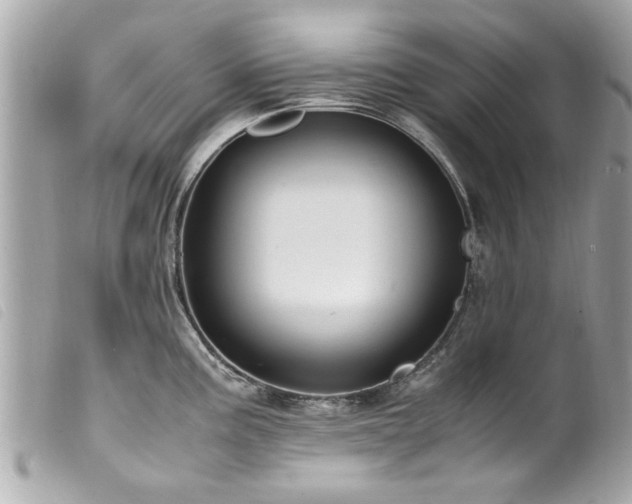 X0000100221195200805301340