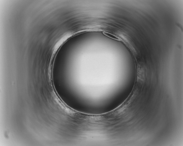 X0000100221196200805301340