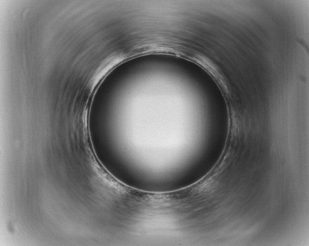 X0000100221198200805301340
