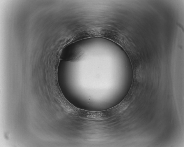 X0000100221201200805301340