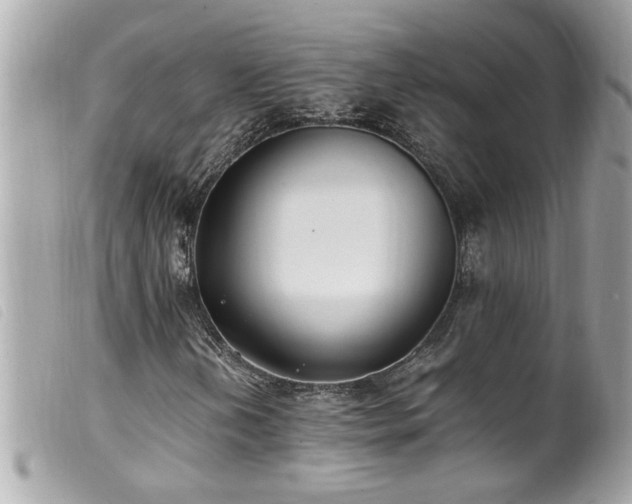 X0000100221202200805301340