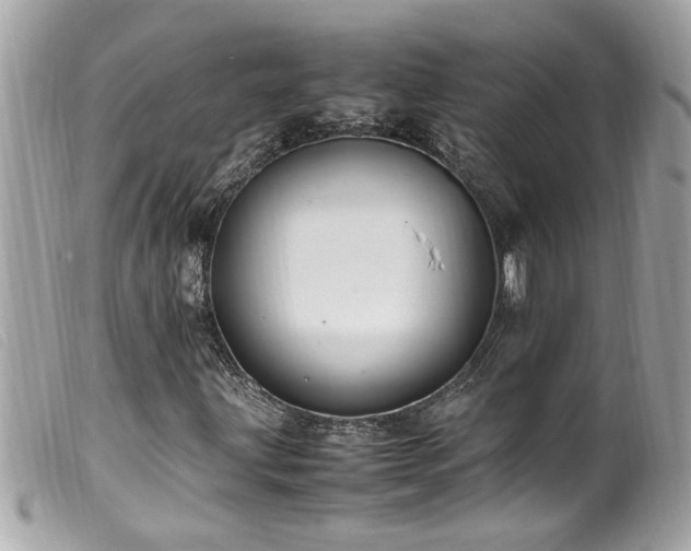 X0000100221203200805301340