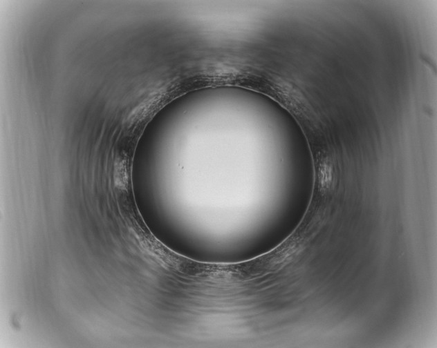X0000100221204200805301340