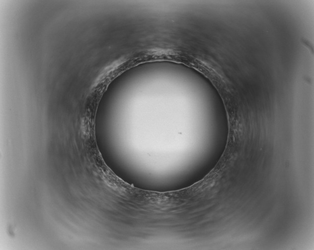 X0000100221207200805301340