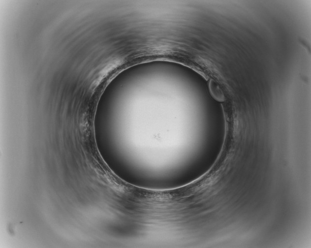 X0000100221210200805301340