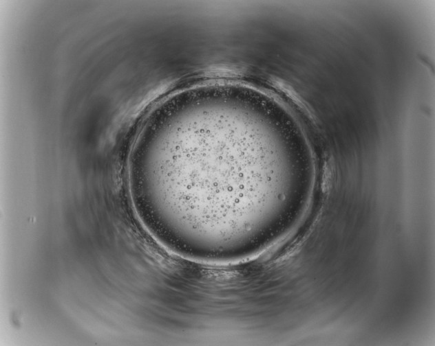 X0000100221213200805301340