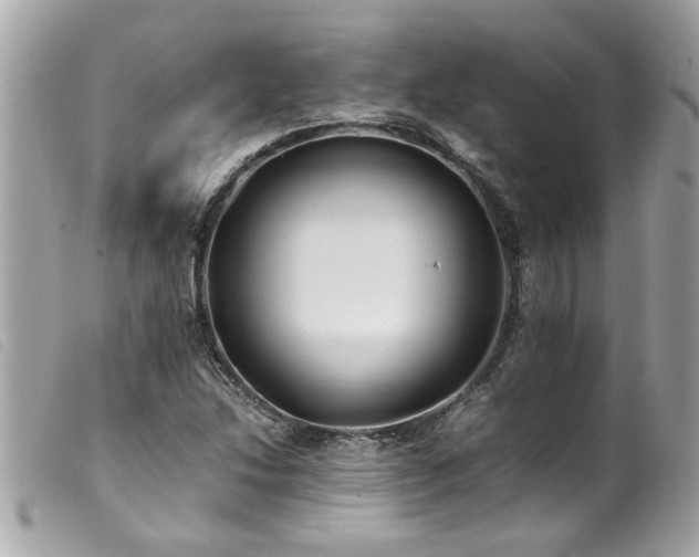 X0000100221214200805301340
