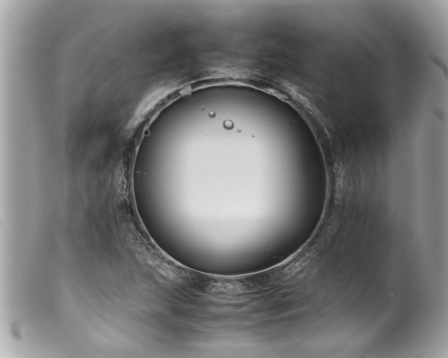 X0000100221215200805301340