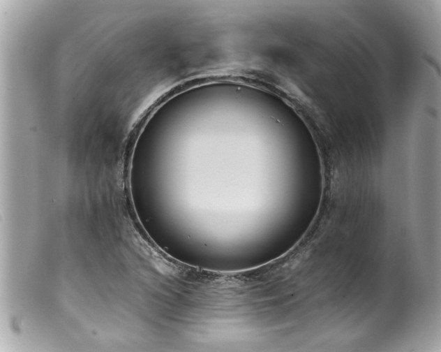 X0000100221216200805301340