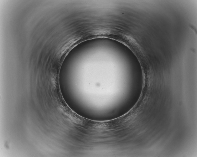 X0000100221217200805301340