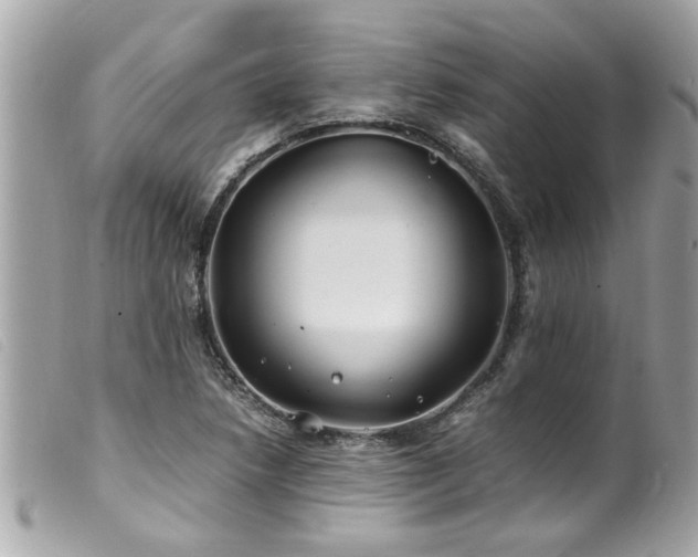 X0000100221218200805301340