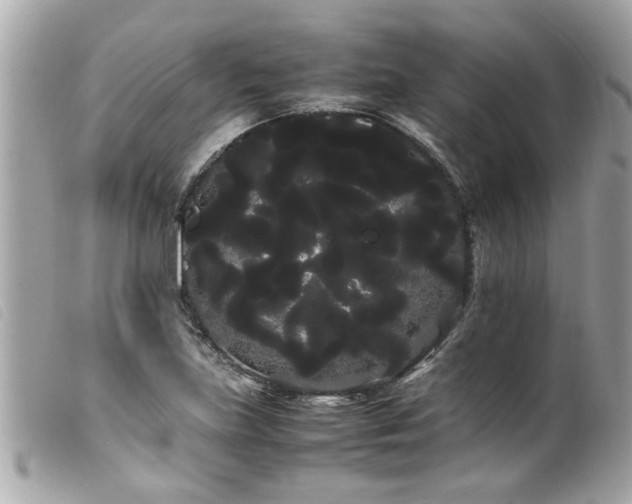 X0000100221219200805301340