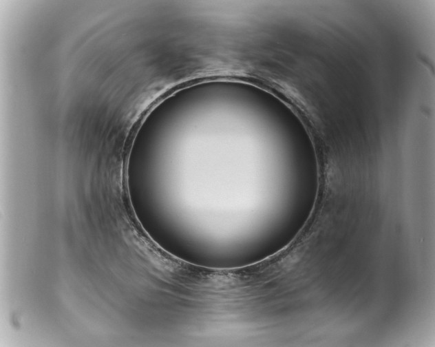 X0000100221220200805301340