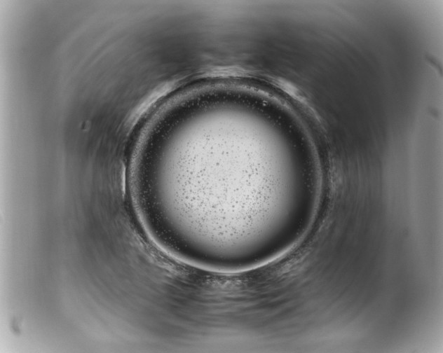 X0000100221221200805301340