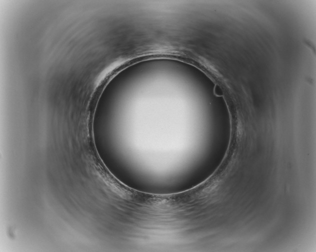 X0000100221222200805301340