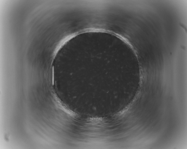 X0000100221223200805301340