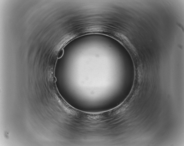 X0000100221225200805301340
