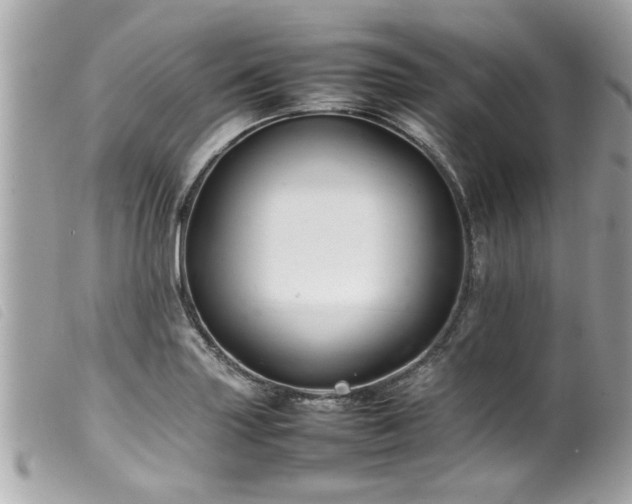 X0000100221227200805301340