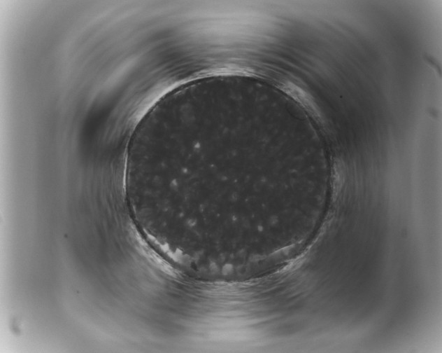 X0000100221228200805301340