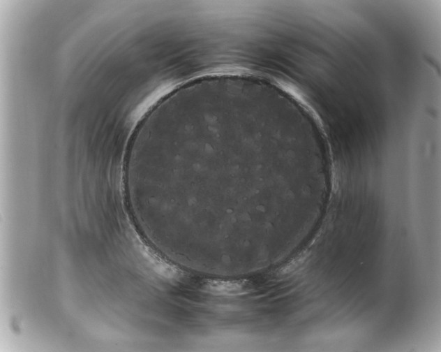 X0000100221229200805301340