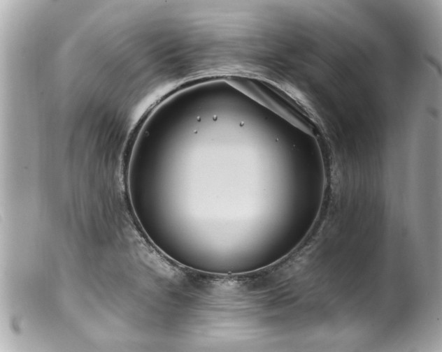 X0000100221230200805301340