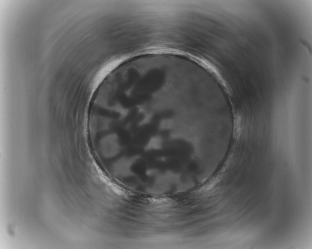 X0000100221231200805301340