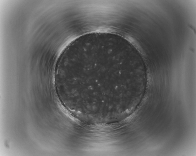 X0000100221232200805301340