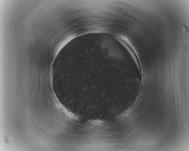 X0000100221235200805301340