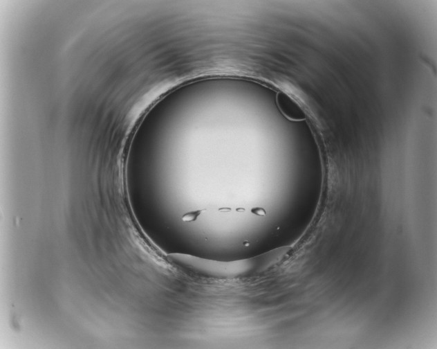X0000100221238200805301340