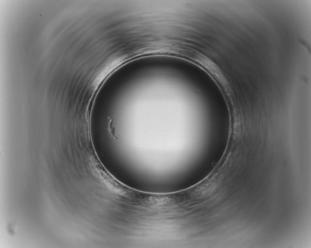 X0000100221242200805301340