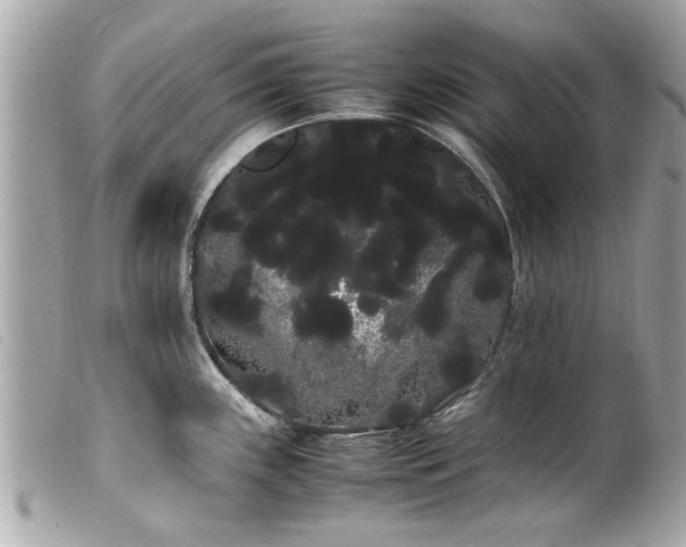 X0000100221243200805301340