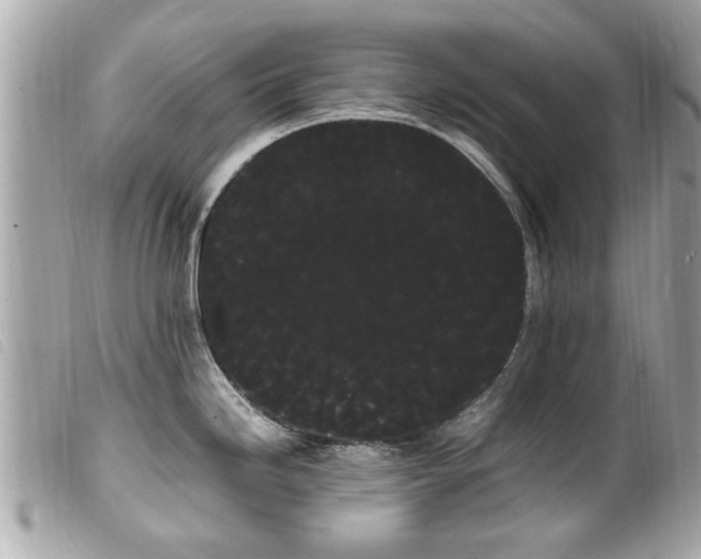 X0000100221246200805301340
