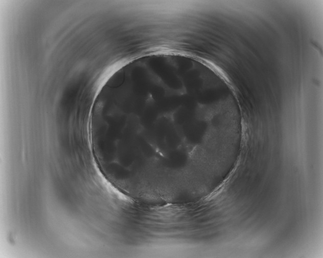 X0000100221247200805301340