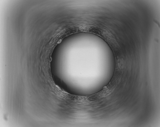 X0000100221249200805301340