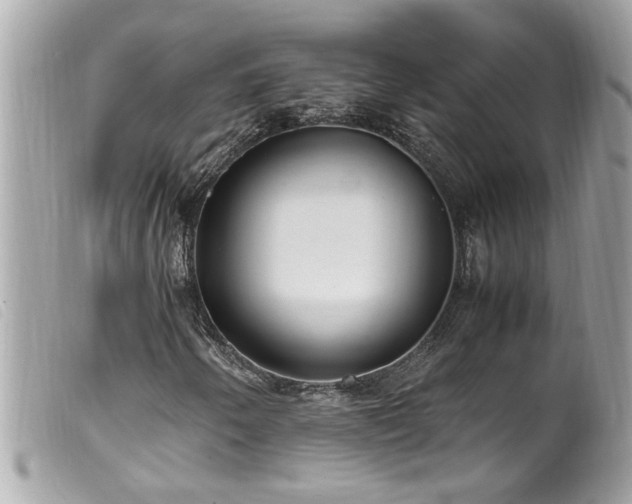 X0000100221250200805301340